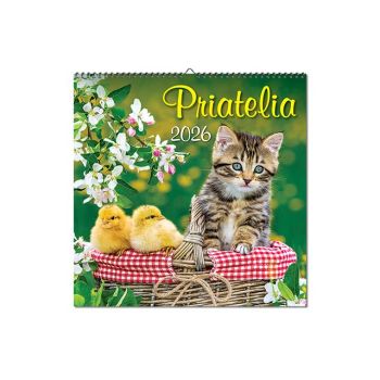Nástenný kalendár Priatelia 2026