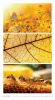 dbfe46017a9d7a20a63a156db751eac7617db718.jpg