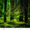1f1460e35a3d9c197e49f48944bb0dc5a86d7c4c.jpg