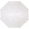caabe6c10485a1180dc42c41738210e8f6ede4da.webp