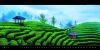 b79c35212c5652d5fa310cb8b6627559ef2ede99.jpg